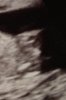 1013377_466069016812529_1961919525_n.jpg