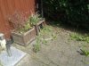 Tuin - bakken.jpg
