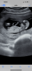 7CDA1DF2-AC3D-4029-B52C-67D1CFDFA3FD.png