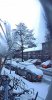 1CA0C7A9-A32E-4316-B6BE-E348B4B0B1E4.jpeg
