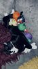 03BD4A22-74CF-41B3-ABDF-AFF93464A3CF.jpeg