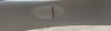 D6423BD1-1AC2-4461-803B-D30B2CE60751.jpeg