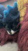 3F79C627-6322-4D15-8C8E-A5A9DE7BA15C.png