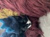 37811791-DB38-479E-A3AD-0C23651609DF.jpeg