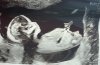 01413533-6189-4C9D-B501-0AF6CE88B225.jpeg