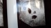 IMG-20220411-WA0012.jpeg