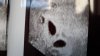 IMG-20220411-WA0006.jpeg