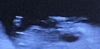 Schermafbeelding 2022-04-13 om 12.47.58.png