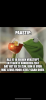 A8F69F61-AB5A-4DC7-BA44-90770FCD71B0.png