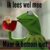 463da69ced062eed08ed416680910ccc--bad-hair-kermit.jpg