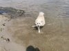 FB_IMG_1650285035250.jpg