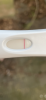 F7020B6E-B169-4E6B-BCD0-5E85000A3669.png