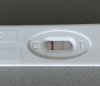 2251B110-D785-4659-840F-39A3FDA30BED.jpeg