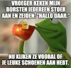 9894a0a9dc2a41b0b04ec275f2f86806.jpg