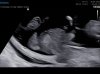 FOTO'S_0002.jpg