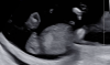 Schermafbeelding 2022-04-26 om 13.44.51.png