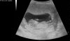upload_2022-4-28_11-16-0.jpeg