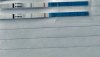 0A48BE13-918F-4D6C-A21C-9A6C2B33989D.jpeg