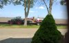 IMG_20220502_122141797~2.jpg