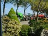 IMG_20220502_122427938~3.jpg