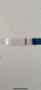 963EF2CB-1B9C-4730-90E8-B77D0E39B8E5.png