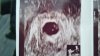 IMG-20220511-WA0004.jpeg