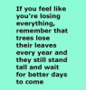 upload_2022-5-12_10-4-50.png