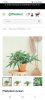 Screenshot_20220513-102849_Chrome.jpg