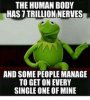 b38c255e6a0d864492dc187629bdd7b7.jpg