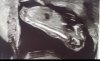 5965A828-EC6D-4C97-80C8-D447B0AD6CA0.jpeg