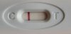 20220514_134106.jpg