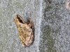 20220514_205424.jpg