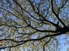 B05C65FF-C058-40A9-8C06-C392E609FF48.jpeg