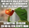 e1354c48e5908939ab983ebf5c95a85a.jpg