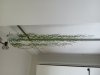 20220519_173054206.jpg