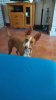 received_1125445181367461.jpeg