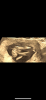 5258C079-9449-4606-86EC-B594FEA16731.png