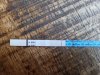 20220604_071729.jpg