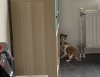 195081A7-323B-4DF0-822A-471289419248.jpeg