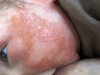 75201025-1D8F-4175-AECB-BF7035DB6C45.jpeg