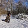 FB_IMG_1654672651876.jpg