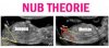 8E3B72A5-5BA8-41C0-BA43-7756D15F82E5.jpeg