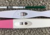 11.3 dpo.jpeg