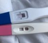 12 dpo.jpeg
