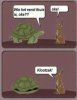 39ba6d5d48cca64e0e36b66018b44b7b--funny-cute-funny-shit.jpg