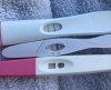 13 dpo.jpeg