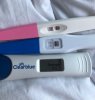 14dpo.jpeg
