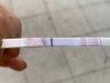 751843E5-73D2-4338-8EEA-A64550CF8437.jpeg