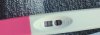 15 dpo action.jpeg