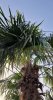 20220618_074046.jpg
